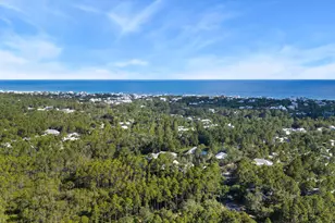 202 Climbing Rose Way Way, Santa Rosa Beach, FL 32459 - Photo 63