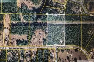 0 Randi Rd, Crestview, FL 32539 - Photo 1