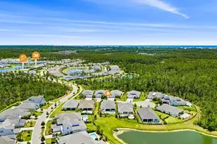 40 Tamoka Ct, Inlet Beach, FL 32461 - Photo 57
