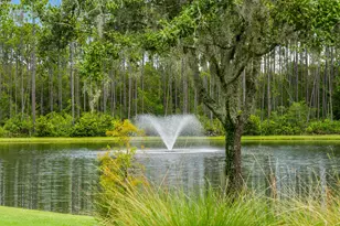 40 Tamoka Ct, Inlet Beach, FL 32461 - Photo 81
