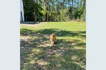 2350 N County Hwy 393, Santa Rosa Beach, FL 32459 - Photo 27