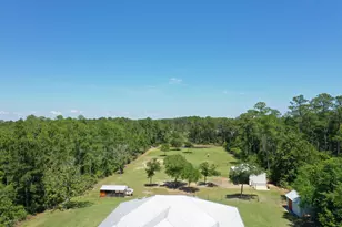 2350 N County Hwy 393, Santa Rosa Beach, FL 32459 - Photo 3