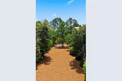 215 Wisteria Way, Santa Rosa Beach, FL 32459 - Photo 25