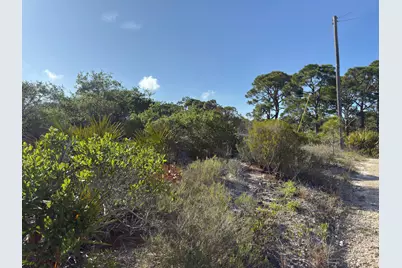 105 Sand Trace Drive, Cape San Blas, FL 32456 - Photo 1