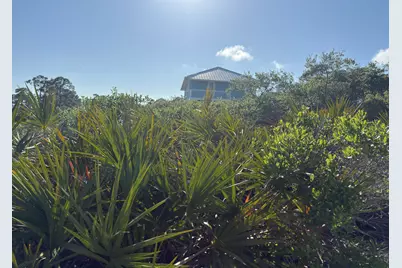 105 Sand Trace Drive, Cape San Blas, FL 32456 - Photo 3