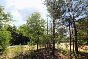 28 Meteyard Ln, Defuniak Springs, FL 32433 - Photo 1