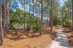 80 Somersault Lane, Watersound, FL 32461 - Photo 37