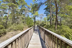 8 E Willow Mist Rd, Inlet Beach, FL 32461 - Photo 37