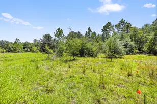 3700 Poverty Creek Rd, Crestview, FL 32539 - Photo 49