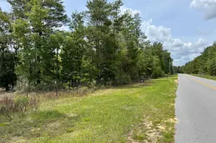 994 O'Sage Dr, Defuniak Springs, FL 32433 - Photo 3