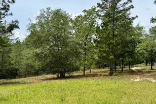 994 O'Sage Dr, Defuniak Springs, FL 32433 - Photo 9