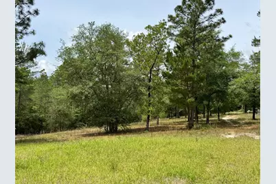 994 O'Sage Drive, Defuniak Springs, FL 32433 - Photo 9