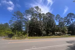 Lots 23-24 N Co Hwy 393, Santa Rosa Beach, FL 32459 - Photo 1