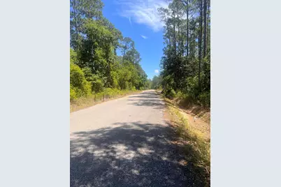 Lots 23-24 N Co Highway 393, Santa Rosa Beach, FL 32459 - Photo 5