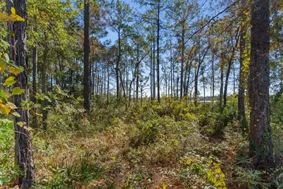 Lot 18 Bayside Drive, Freeport, FL 32439 - Photo 29
