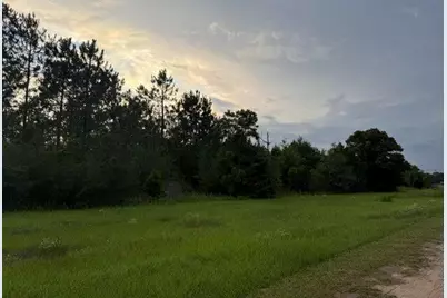 2.49 Acres W Co Hwy 147, Paxton, FL 32538 - Photo 1