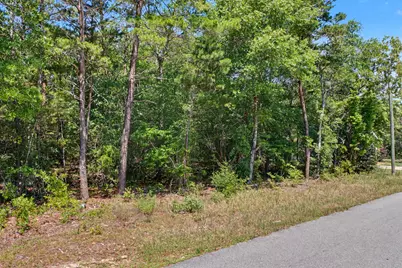 Tbd E Picasso Circle, Defuniak Springs, FL 32433 - Photo 3