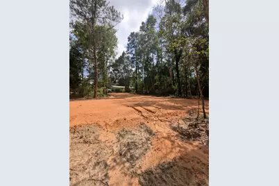 Lot 4 Dogwood Lakes Estates, Bonifay, FL 32425 - Photo 13