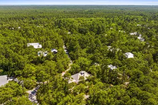 364 Amelia Ln, Santa Rosa Beach, FL 32459 - Photo 89