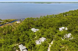 364 Amelia Ln, Santa Rosa Beach, FL 32459 - Photo 83