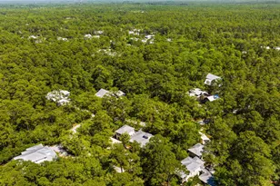 364 Amelia Ln, Santa Rosa Beach, FL 32459 - Photo 85