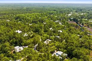 364 Amelia Ln, Santa Rosa Beach, FL 32459 - Photo 89