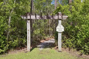 43 Fern Cove, Santa Rosa Beach, FL 32459 - Photo 55