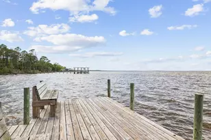 43 Fern Cove, Santa Rosa Beach, FL 32459 - Photo 57