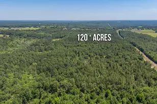 6722 N Hwy 85, Laurel Hill, FL 32567 - Photo 7