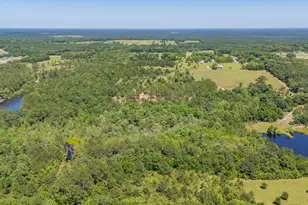 6722 N Hwy 85, Laurel Hill, FL 32567 - Photo 21