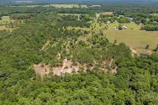 6722 N Hwy 85, Laurel Hill, FL 32567 - Photo 31