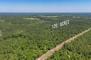6722 N Hwy 85, Laurel Hill, FL 32567 - Photo 25