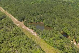 6722 N Hwy 85, Laurel Hill, FL 32567 - Photo 15