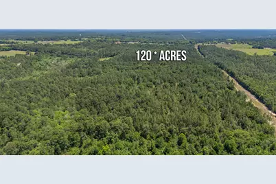 6722 N Highway 85, Laurel Hill, FL 32567 - Photo 11