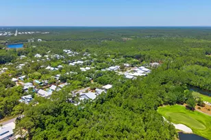 408 Seacrest Dr, Inlet Beach, FL 32461 - Photo 59