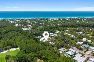 408 Seacrest Dr, Inlet Beach, FL 32461 - Photo 57