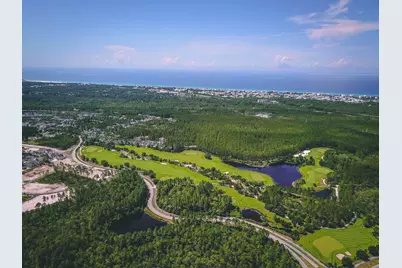 467 Pollard Cove East Street #Lot 106, Watersound, FL 32461 - Photo 43