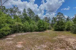 360 Michigan Ln, Defuniak Springs, FL 32433 - Photo 33