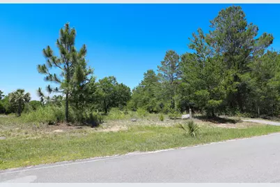 1252 Trout Drive, Defuniak Springs, FL 32433 - Photo 5