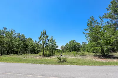 1252 Trout Drive, Defuniak Springs, FL 32433 - Photo 3