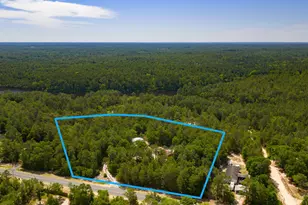 5561 Hwy 393, Crestview, FL 32539 - Photo 1