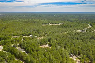 5561 Hwy 393, Crestview, FL 32539 - Photo 47