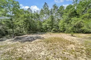 5561 Hwy 393, Crestview, FL 32539 - Photo 53
