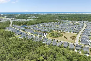 115 Log Landing St, Inlet Beach, FL 32461 - Photo 53