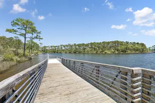 115 Log Landing St, Inlet Beach, FL 32461 - Photo 65