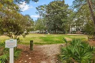 337 S Bridge Ln, Inlet Beach, FL 32461 - Photo 41