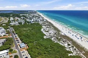 338 Grande Pointe Cir, Inlet Beach, FL 32461 - Photo 3