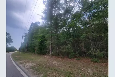 2.71 Acres Kings Lake Road, Defuniak Springs, FL 32433 - Photo 5