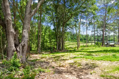 699 Pinewood Drive, Defuniak Springs, FL 32433 - Photo 3