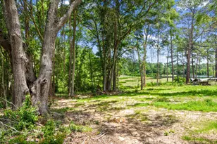 699 Pinewood Dr, Defuniak Springs, FL 32433 - Photo 3
